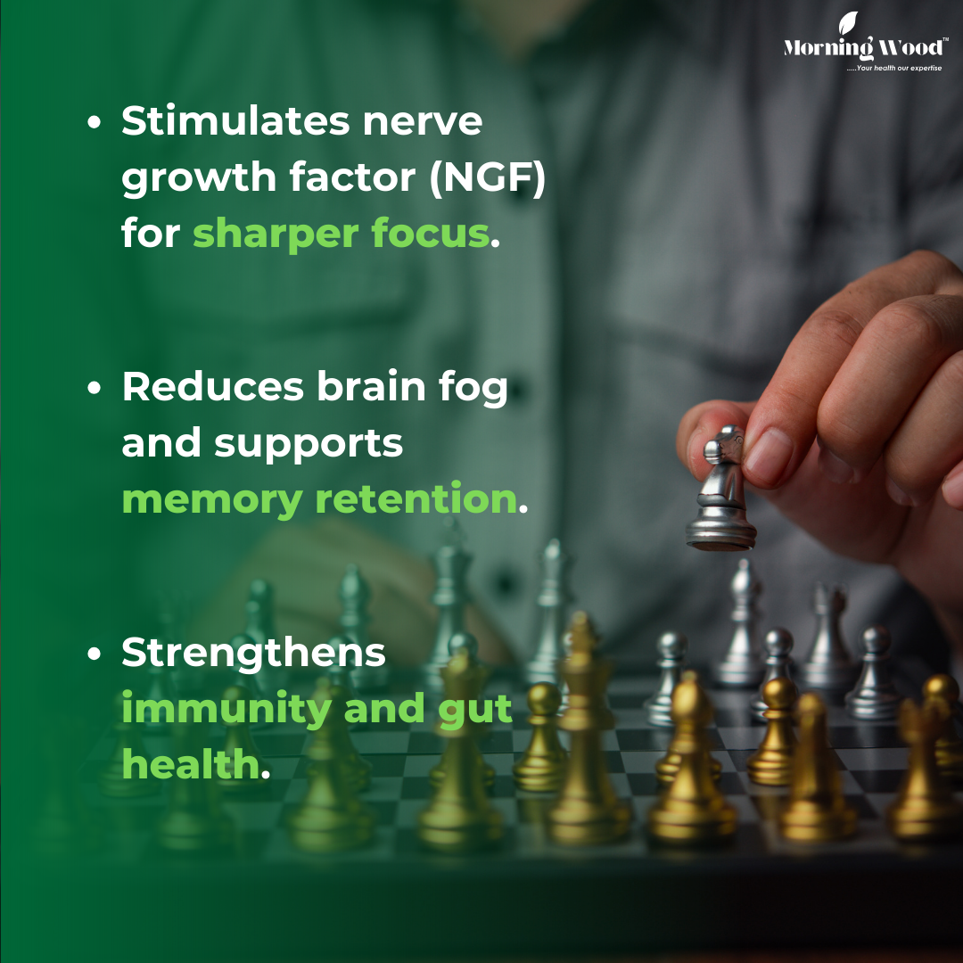 Morningwood Lion's Mane Mushroom Capsules for Brain Health and Memory - Premium Cognitive Support Supplement