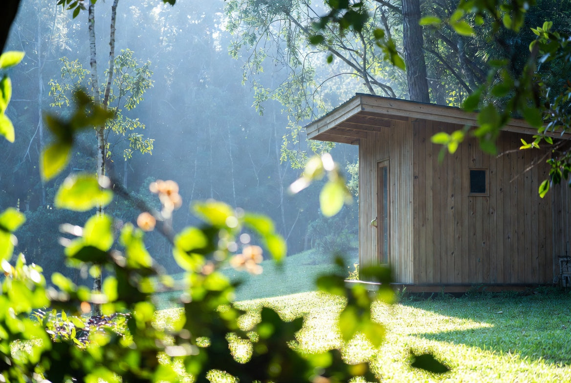 Top Ayurvedic Company in India: Morning Wood's Journey to Natural Wellness Excellence