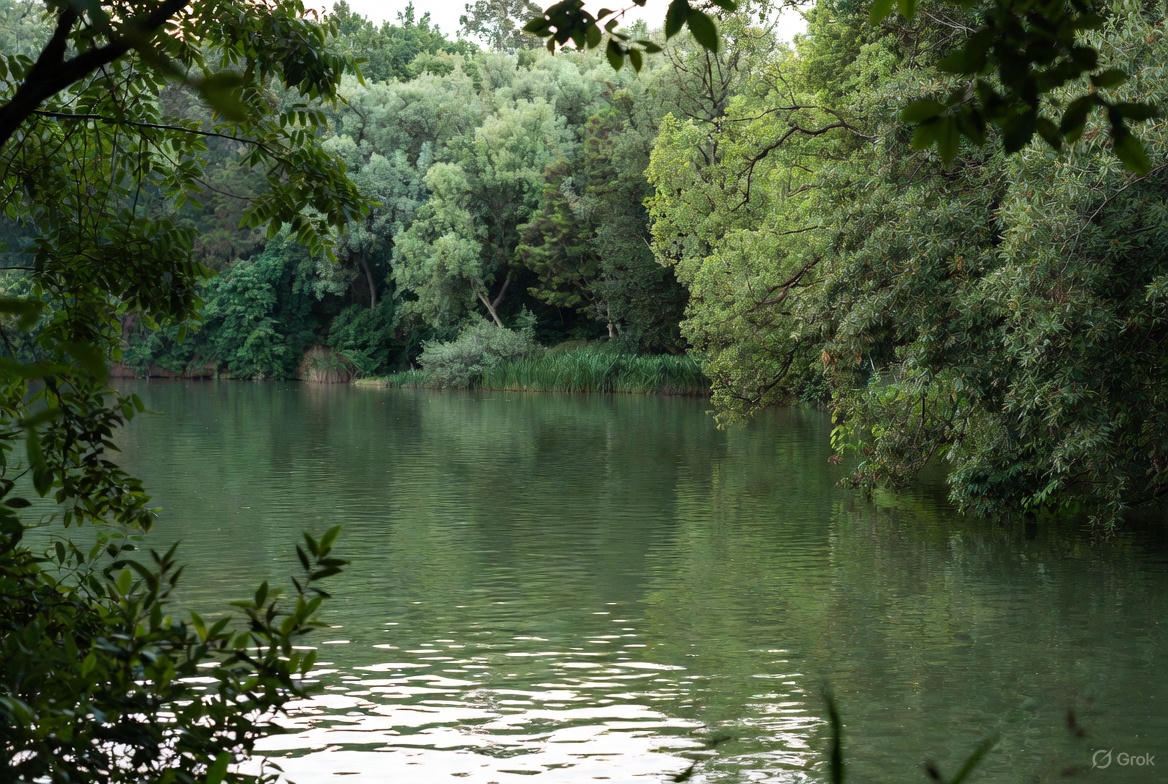 Ayurvedic Treatment for Fissure: Natural Healing Solutions from Ancient Wisdom