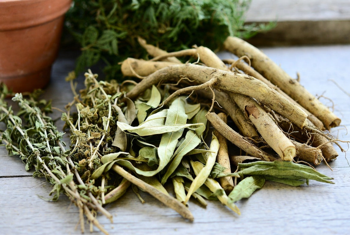 Ayurvedic Jadi Buti: Ancient Herbal Wisdom for Modern Wellness