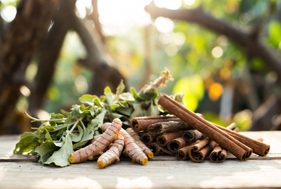 Ayurvedic Multivitamin Syrup: Complete Guide to Natural Nutritional Support