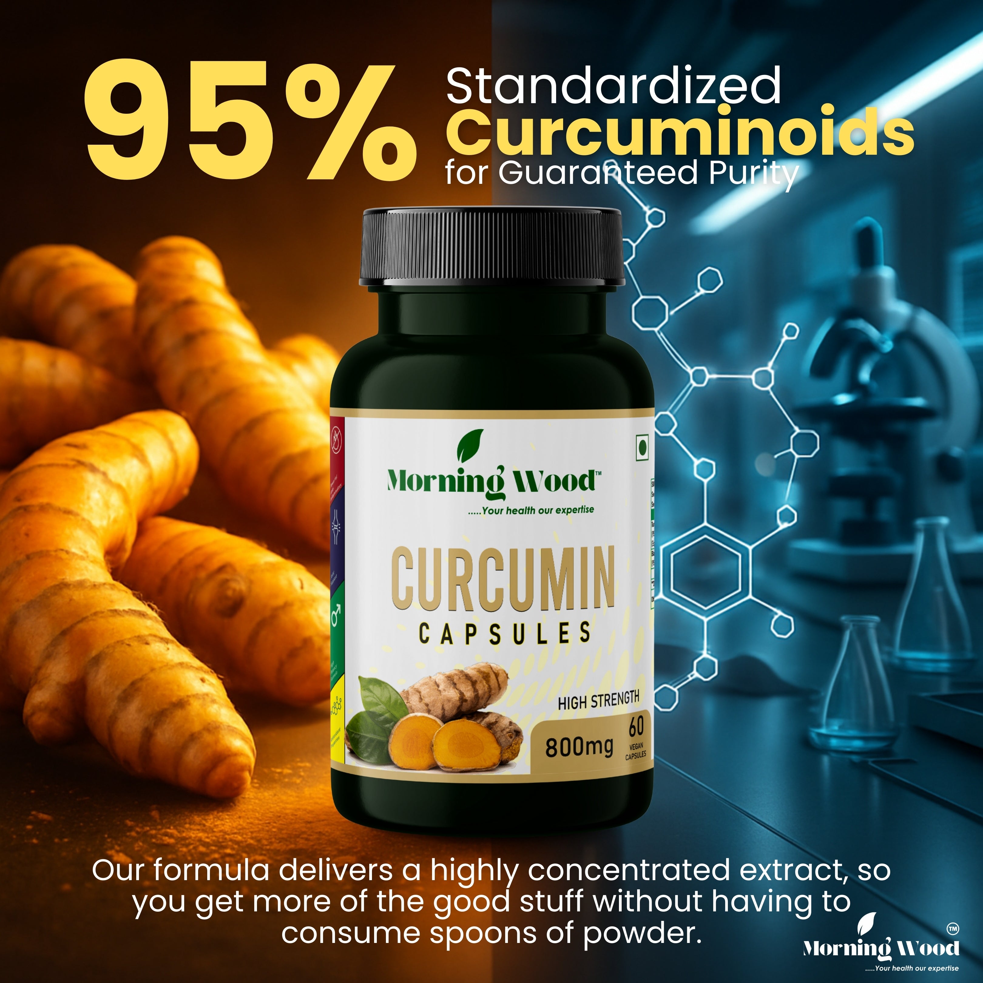 Curcumin Capsules 800mg - 60 Count | MorningWood